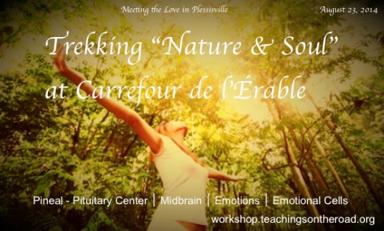 Invitation Trekking Nature and Soul